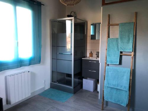 Un baño con ducha de cristal y lavabo. en Charmant gîte en Périgord vert, en Douchapt