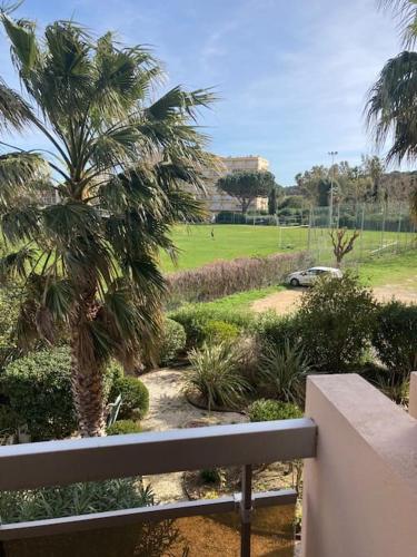 a view of a park with a palm tree and a car at Le Lavandou 6 pers. + parking privé + terrasse (au calme) in Le Lavandou