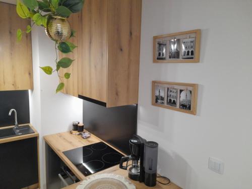 Η κουζίνα ή μικρή κουζίνα στο Apartament Amelia