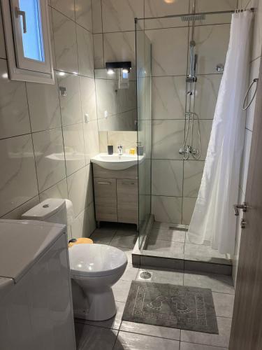 a bathroom with a shower and a toilet and a sink at Christina Apartments in Keramoti