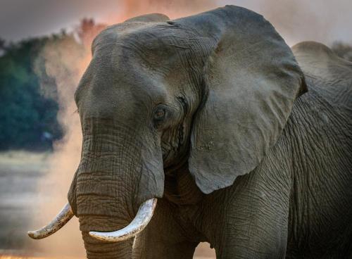 Best Safari River Side – Photos 3