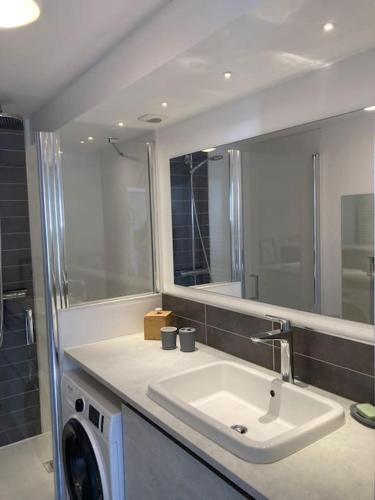 une salle de bain avec un lavabo et une machine à laver dans l'établissement Appartement Les Corsaires, à Granville