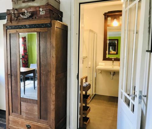 een badkamer met een spiegel en een wastafel in de kamer bij De Fryske Wyn in Ferwerd