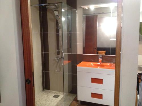 聖安德雷的住宿－TI COIN TRANQUIL_JACQUELIN ET DORLYS，一间带玻璃淋浴和水槽的浴室