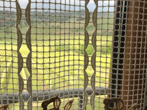 a view through a mesh fence with insects on it at Genius Loci Country Inn in Bevagna