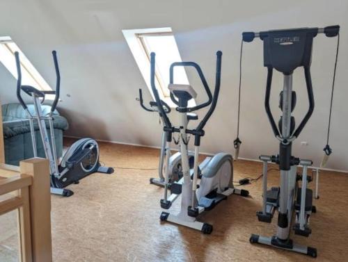 a room with three exercise bikes and a mirror at Sybille Sonnenbrille in Wulfen auf Fehmarn