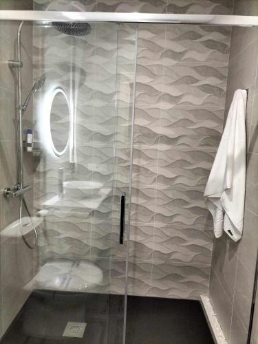 a shower with a glass door in a bathroom at Apartamento Turístico Almagre in Almagro