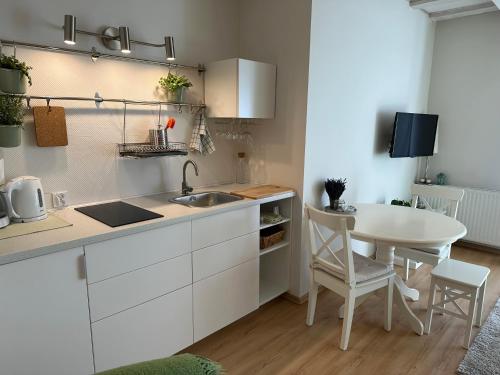シフィノウイシチェにあるApartamenty Tęczaの部屋の中にシンクとテーブルがあるキッチン