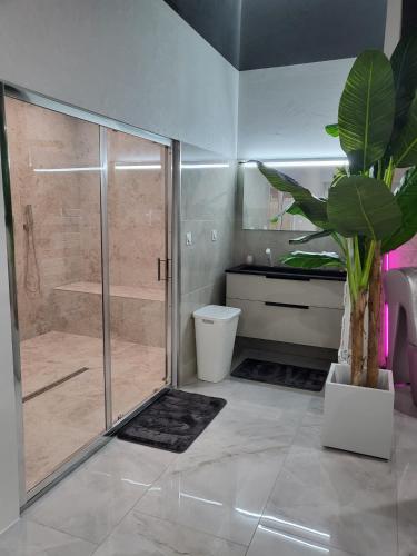 a bathroom with a shower and a toilet and a plant at Maloveroom, 2 Suites d'exceptions in Beaucroissant