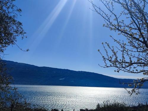 a view of a lake with the sun shining on it at Agriturismo L'Uliveto in Gargnano