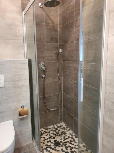 a bathroom with a shower with a glass door at Panorama Bliss Finhaut in Finhaut