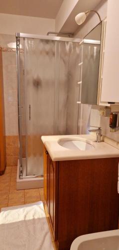 a bathroom with a shower and a sink at Apartma Arkade in Črniče