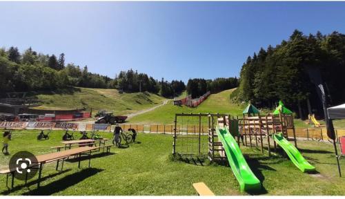 a playground with a green slide in a field at Il Covo delle Regine in Abetone