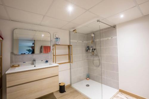 a bathroom with a shower and a sink and a mirror at Le Cottage - circuit Bugatti - wifi - 8pers - Rêve au Mans in Le Mans