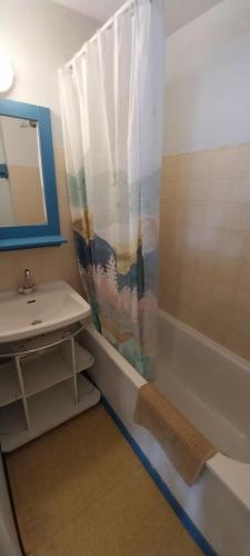y baño con cortina de ducha y lavamanos. en Boost Your Immo Aurans Réallon 450A en Réallon