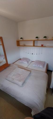 Habitación con 3 camas en una habitación en Boost Your Immo Aurans Réallon 450A en Réallon