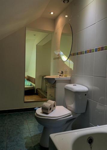 a bathroom with a toilet and a sink and a mirror at Pension Sara in Hevlín