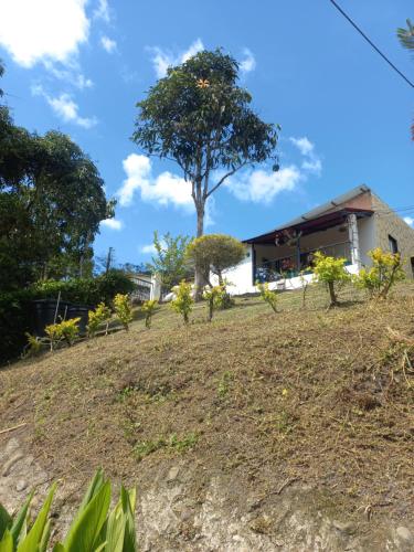 uma casa numa colina com uma árvore ao fundo em Hotel la cabaña em Nocaima