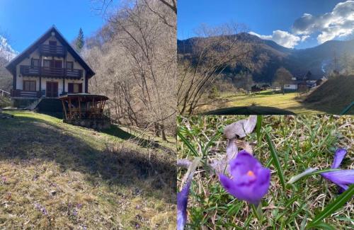 tres fotos de una casa con flores delante en Cabana Satic Piatra Craiului La Doi viermi en Sătic