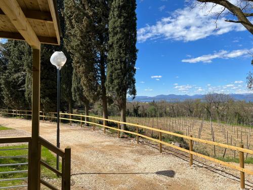 een straatlicht en een hek voor een wijngaard bij Agricampeggio Le Bucoliche in Colà di Lazise