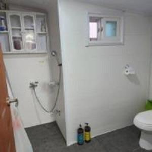 a bathroom with a shower and a toilet at Hongcheon fence house in Hongcheon