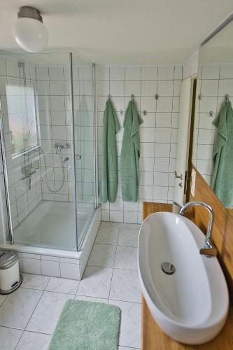 a bathroom with a shower and a sink and a tub at Adesso - Ferienwohnung im Schwarzwald in Leinstetten