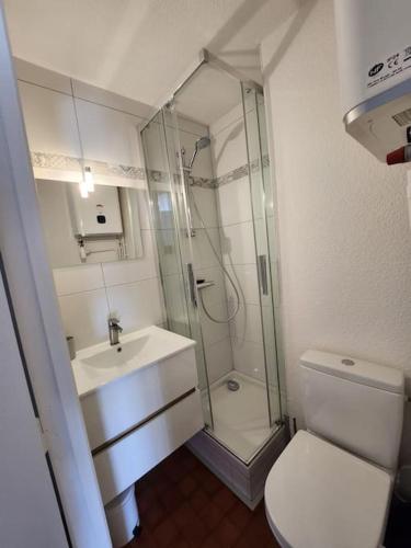 une salle de bain avec une douche, des toilettes et un lavabo dans l'établissement Joli T2 Centre port résidence Quai d'Honneur, au Cap d'Agde