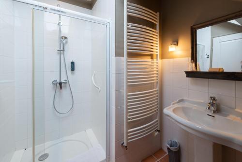 a bathroom with a shower and a sink at Le Gingko - Hotel du Golf Parc Robert Hersant in La Chaussée-dʼIvry
