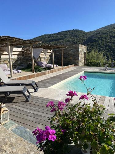 a swimming pool with a deck and purple flowers at Chambres d'hôtes et studios de charme - A Mandria in Murato