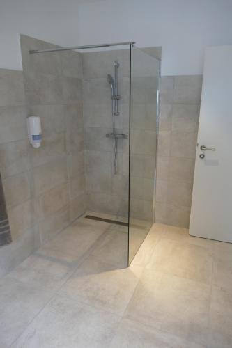 a shower with a glass door in a bathroom at "be-together" Engabrunn in Engabrunn