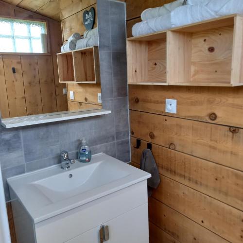 La salle de bains est pourvue d'un lavabo blanc et de murs en bois. dans l'établissement Camping car vintage, à Saint-Barthélemy-le-Plain