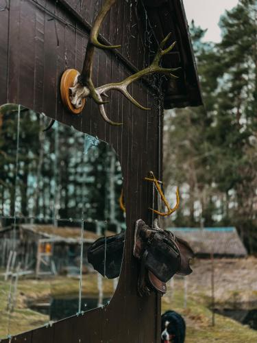 a lizard on the side of a wooden pole at Private Farm Jakuzzi Sauna in the forest in Talsi