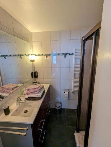 a bathroom with a sink and a mirror at Haus Edelweiss Jungholz in Jungholz