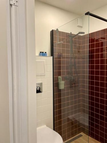 a bathroom with a toilet and a glass shower at M a t c h a in Ventspils