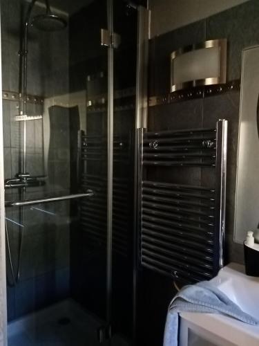 La salle de bains est pourvue d'une douche et d'une douche vitrée. dans l'établissement Au Mas Saint Pierre, à Pignans