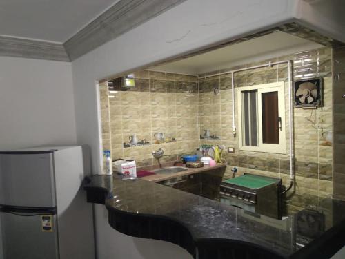 uma cozinha com um lavatório e um frigorífico em Entire Cozy Apartment - Miami near borevag beach em Alexandria