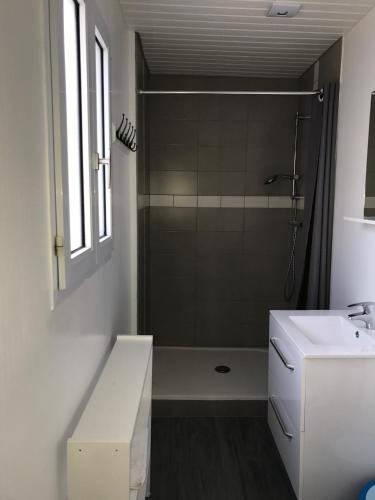 une salle de bain avec une douche, des toilettes et un lavabo dans l'établissement le clos du phare bleu, à La Flotte