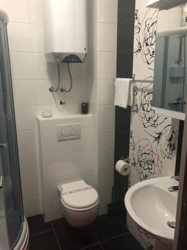 a small bathroom with a toilet and a sink at Pinnacle MNE in Žabljak
