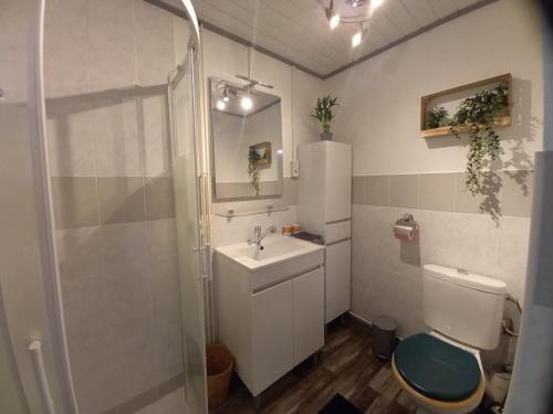 une salle de bain avec un lavabo, des toilettes et une douche dans l'établissement Gîte Lesmyosotis-messeix ***espace et calme 2/3p, à Messeix