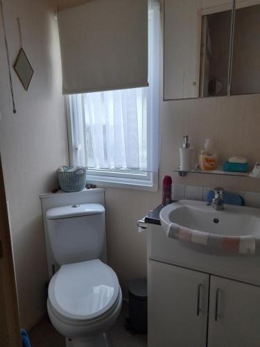 a bathroom with a toilet and a sink at 3 bed caravan in Kirkcolm