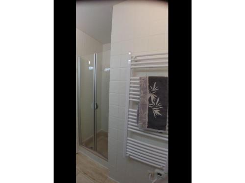 a bathroom with a shower with a glass door at Appartment 129 in Tossens in Tossens