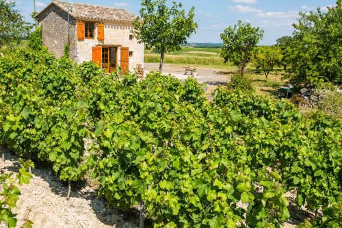 une ancienne maison dans un champ de buissons verts dans l'établissement la cabane du vigneron, à Donnazac