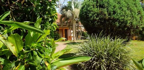 a garden with plants and a house in the background at Keelan ace villas in Kampala
