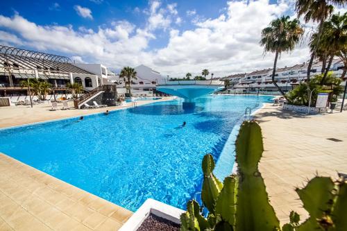 a large swimming pool in a resort with a cactus at Parque don Jose apartment in Costa Del Silencio