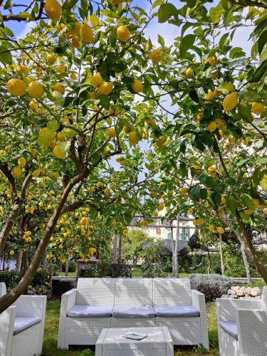 Casa Amorino – Photos 2