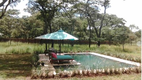 a pool with an umbrella and a table and chairs at Leopards Hill, Lusaka family home in beautiful nature in Mwambula