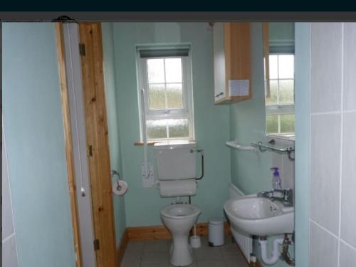 uma casa de banho com um WC e um lavatório em Fermanagh lakeside Self Catering em Corranny