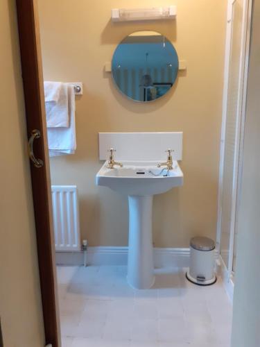 a bathroom with a sink and a mirror at Gleneven Guest House in Inniskeen