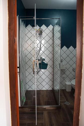 a bathroom with a shower and a toilet at Studio Panagyurishte in Panagyurishte