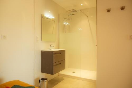 een badkamer met een wastafel en een douche met een spiegel bij Magnifique appartement de type loft en front de mer avec vue, parking et WiFi in Argelès-sur-Mer